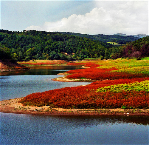 Borsko jezero.jpg